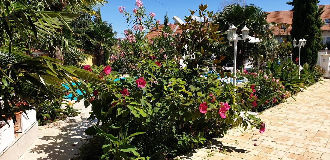 Paradise-Garden-זמראדי מראה חיצוני תמונה